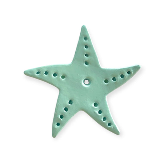 Étoile de mer bleu