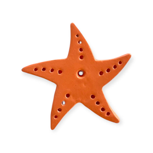 Étoile de mer rose