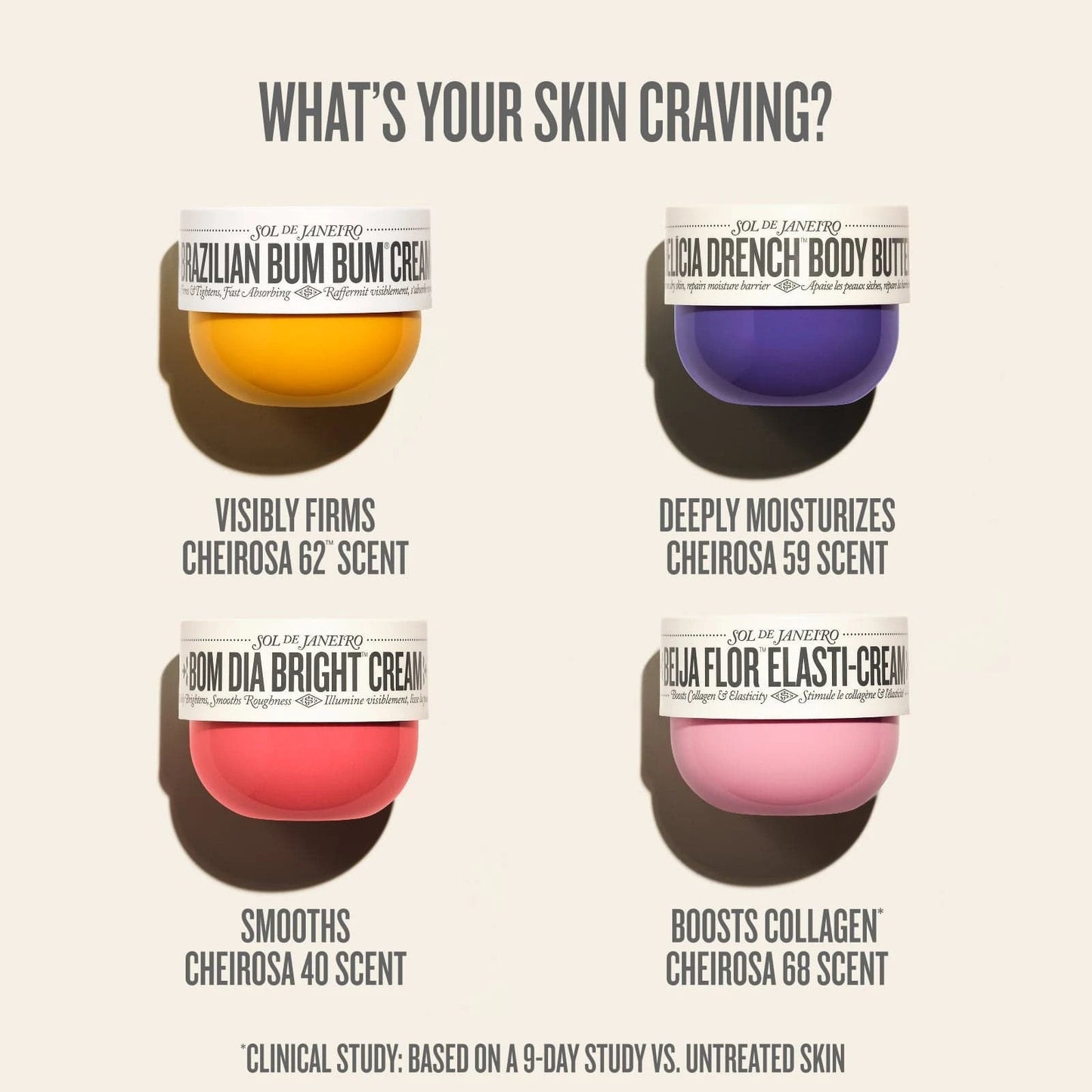 Maison à personnaliser